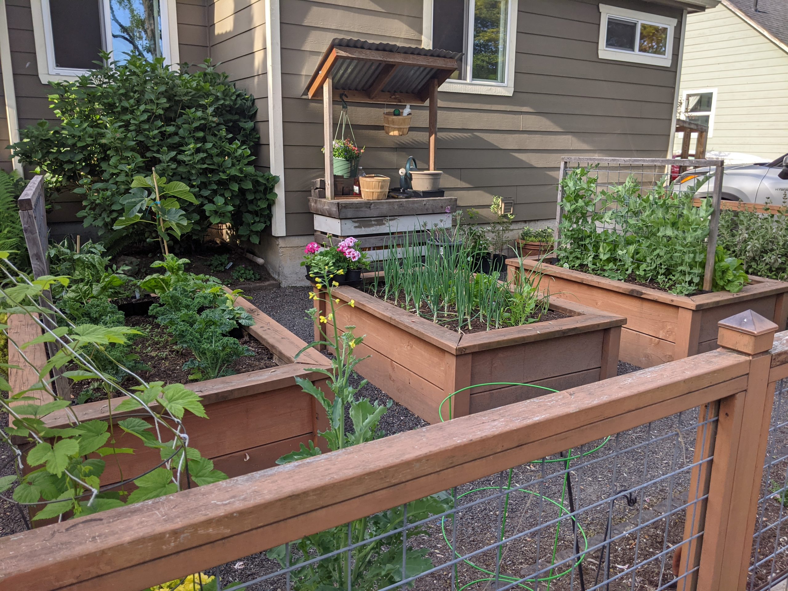 front yard garden boxes with potting table in background